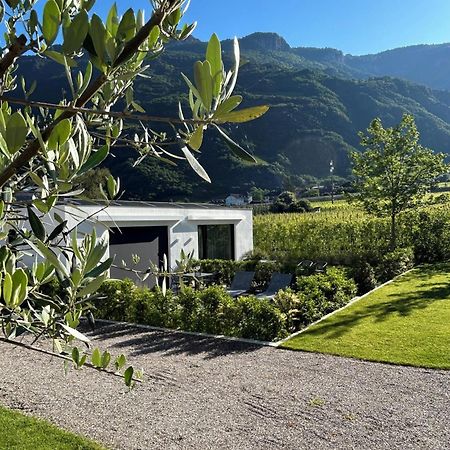 Agriturismo Insolito تيرلانو المظهر الخارجي الصورة